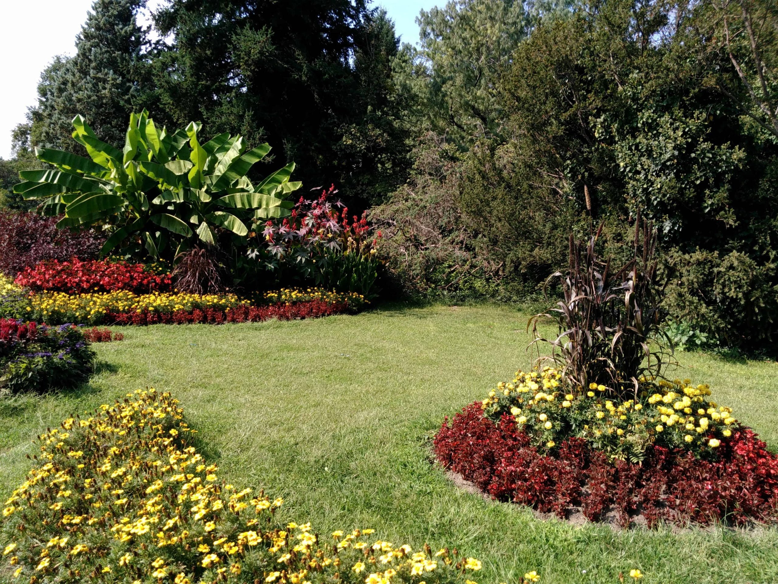Công ty TNHH Vườn Cây cung cấp dịch vụ thi công sân vườn