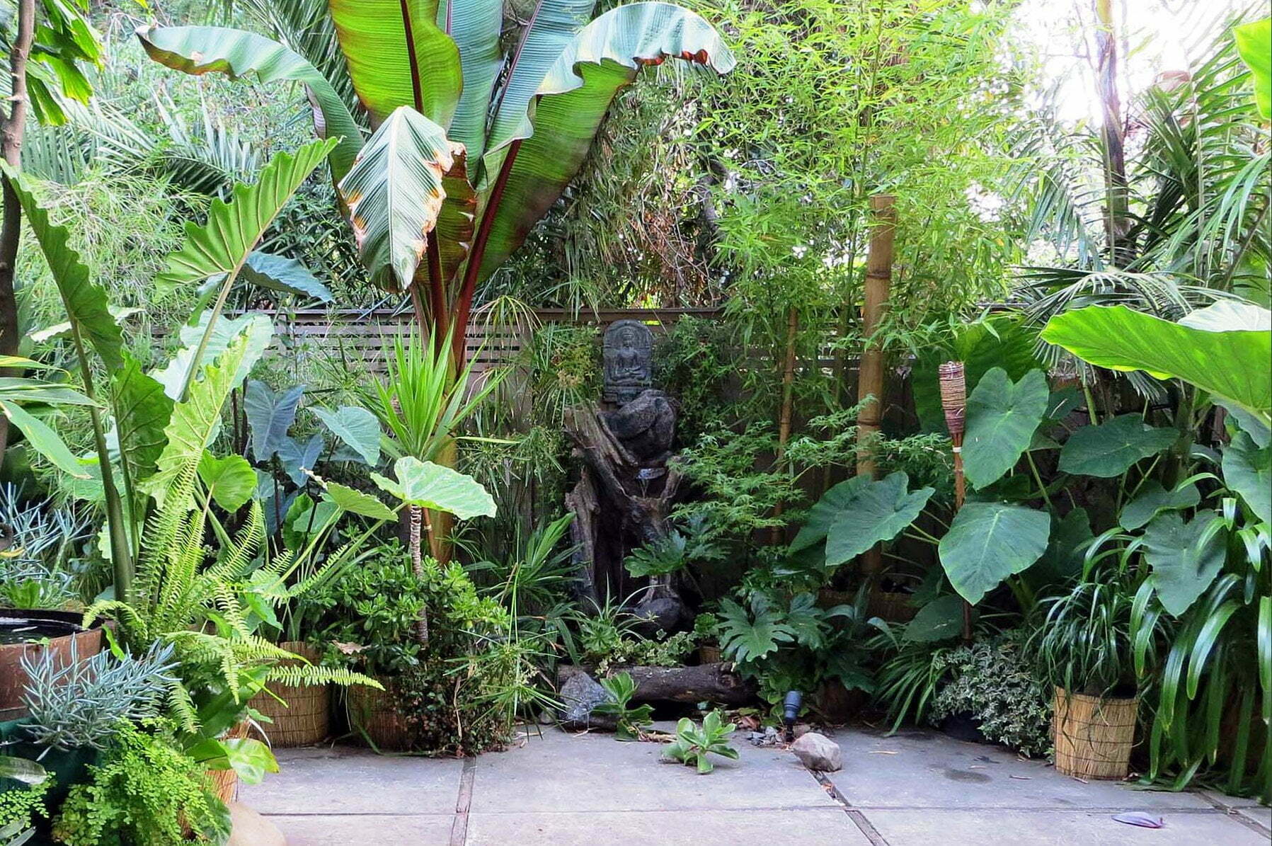 Hình ảnh sân vườn phong cách nhiệt đới