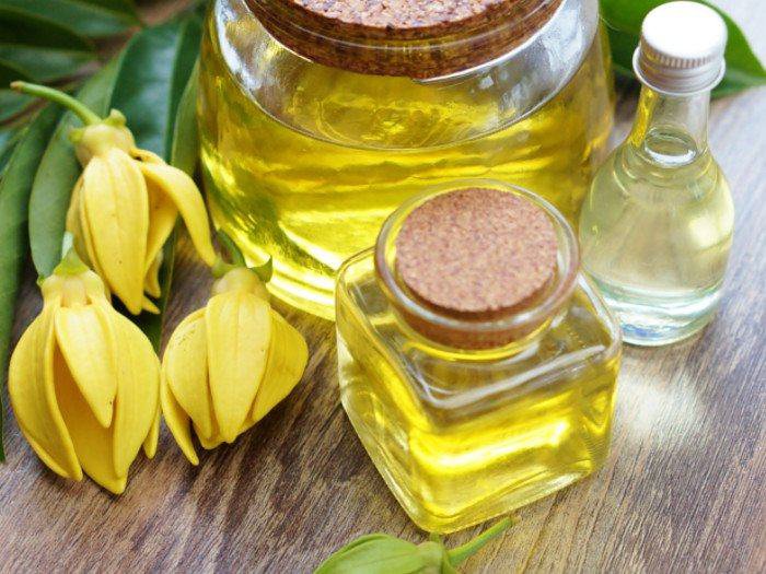 Tinh dầu hoa ngọc lan có nhiều công dụng bổ ích