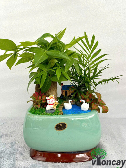 Cây Kim Ngân 3 Thân Tiểu Cảnh