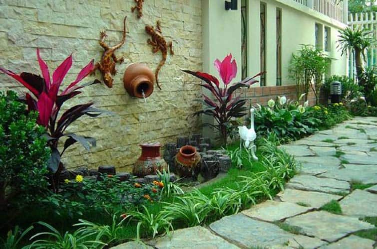 Cách bố trí cây cảnh trong sân vườn không phải là việc dễ dàng