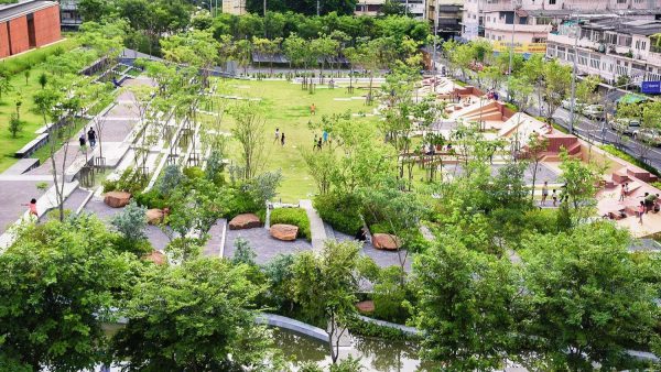 cung cấp cây xanh giúp làm sạch không khí