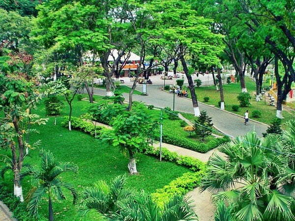 Cung cấp cây xanh Tạo cảnh quan xanh và tăng tính thẩm mỹ