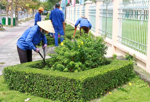 Bảo dưỡng cây xanh